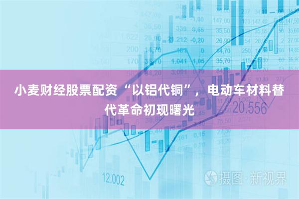 小麦财经股票配资 “以铝代铜”，电动车材料替代革命初现曙光