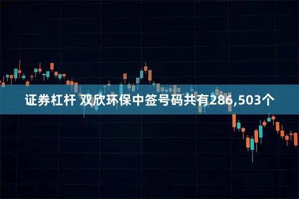 证券杠杆 双欣环保中签号码共有286,503个
